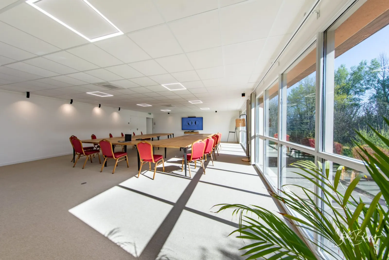 Salle Gaïa, baies vitrées ouvertes sur le parc